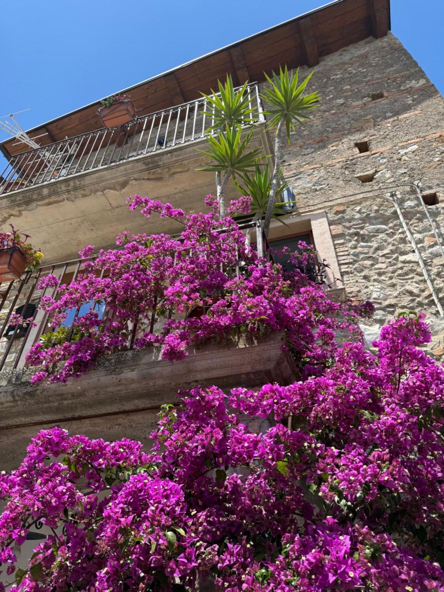 B&B Dhafna Civita Kültér fotó